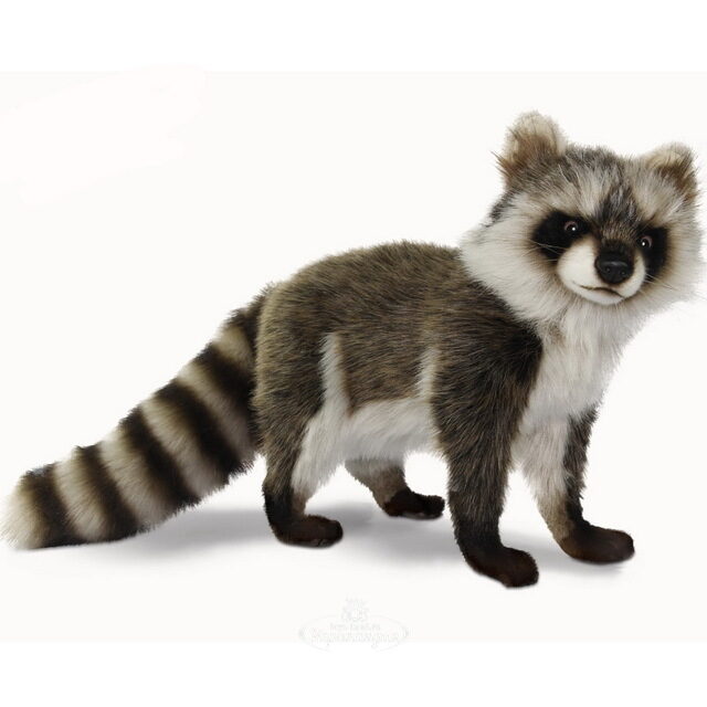 Мягкая игрушка Енот стоящий, 35 см Hansa Creation (Ханса Креэйшн)