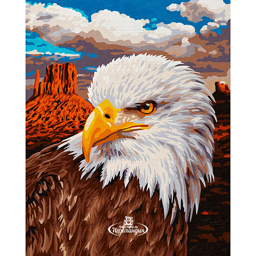 Картина по номерам "Белоголовый орлан", 24*30 см Schipper