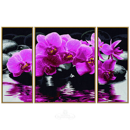 Картина по номерам - Триптих "Орхидеи", 50*80 см Schipper