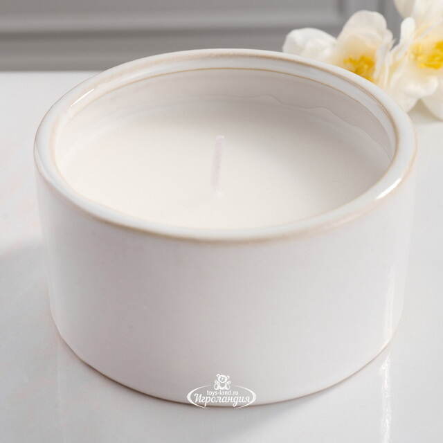 Ароматическая свеча Cotton Rocher 10 см, в фарфоровом стакане Koopman