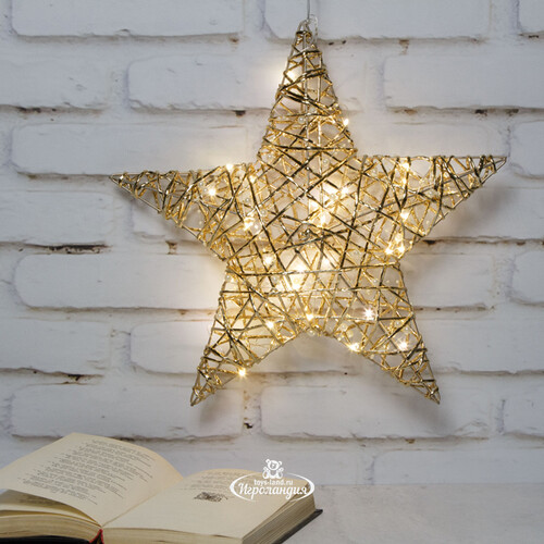 Светодиодная фигура Звезда Дженарро - Golden Gloss 40 см, 30 теплых белых LED ламп, на батарейках, IP20 Koopman