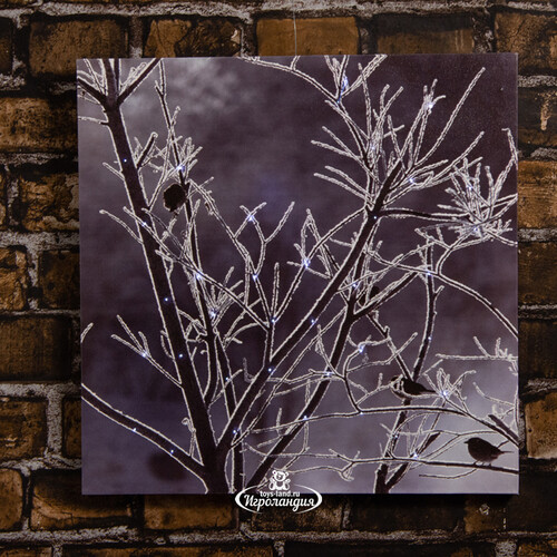 Светодиодная картина Морозное Утро в саду 40*40 см на батарейках Peha