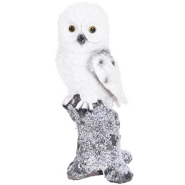 Декоративная фигурка Сова Манфредо на дереве 21 см Koopman
