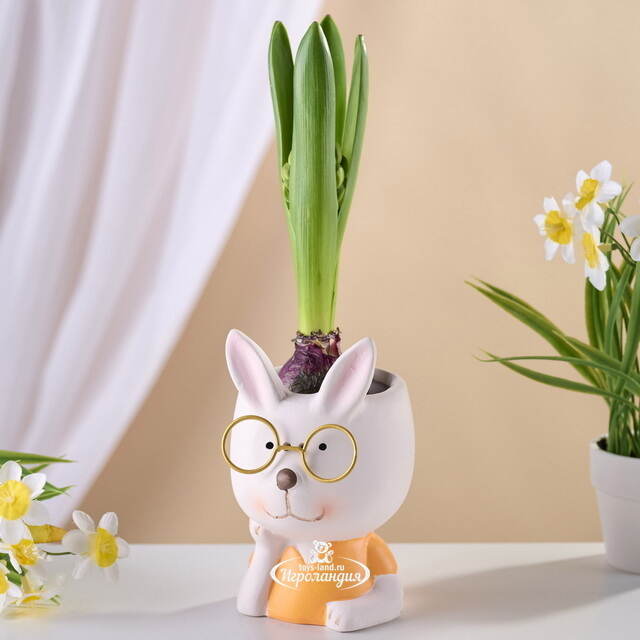 Декоративное кашпо Зайка Феня 12 см Koopman