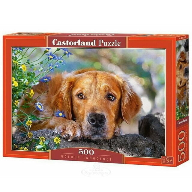 Пазл Ретривер, 500 элементов Castorland