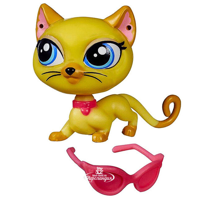 Порнодағы әлеуметтік желідегі әйелдер