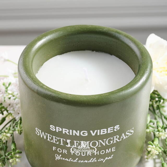 Ароматическая свеча в стакане Relaxation - Лемонграсс 8 см Koopman