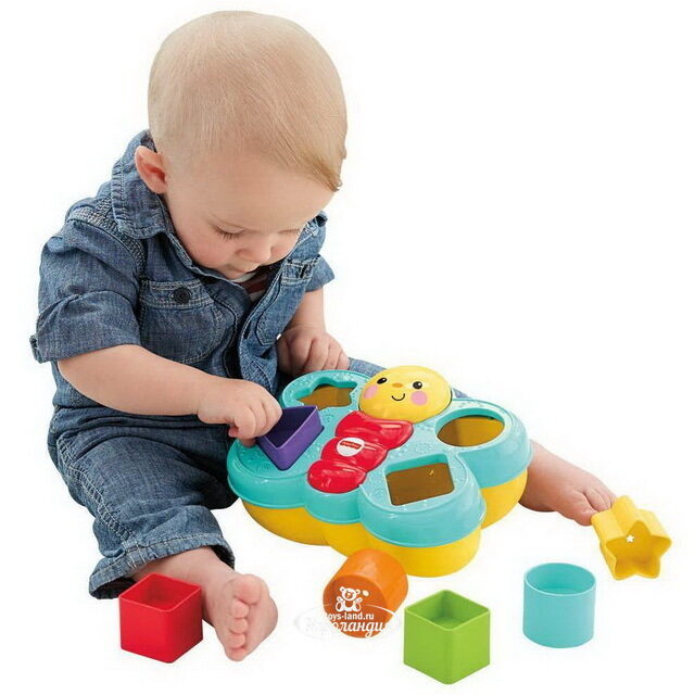 Сортер Бабочка, 20 см Fisher Price