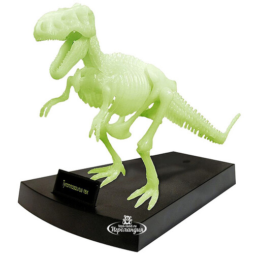 Сборная модель Светящийся скелет Тираннозавра, 34*16 см Geoworld