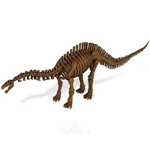 Набор для раскопок Апатозавр Geoworld