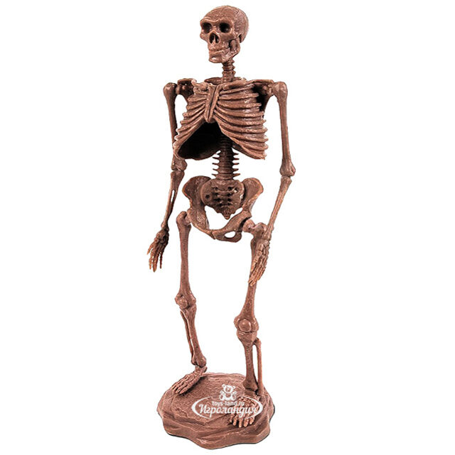 Набор для раскопок Неандерталец Geoworld (Геоворлд)