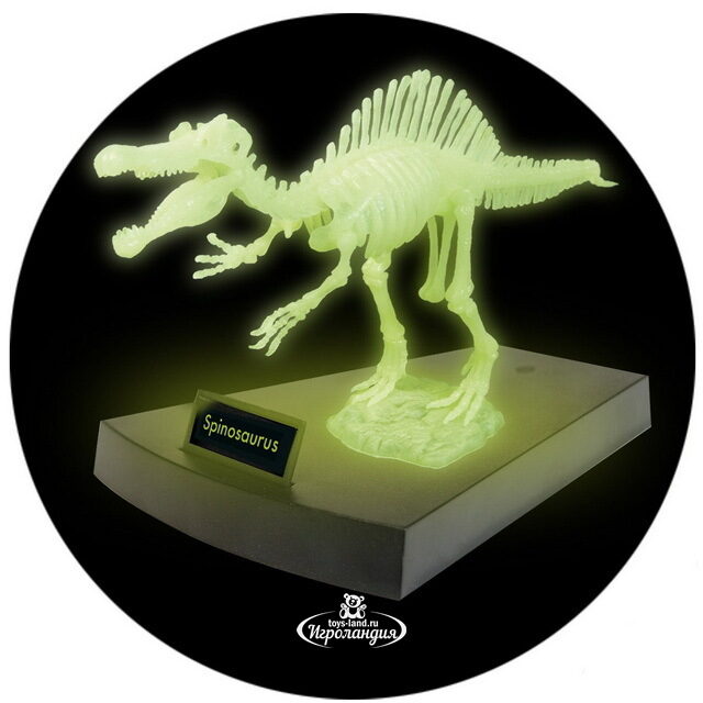 Сборная модель Светящийся скелет Спинозавра, 32*16 см Geoworld