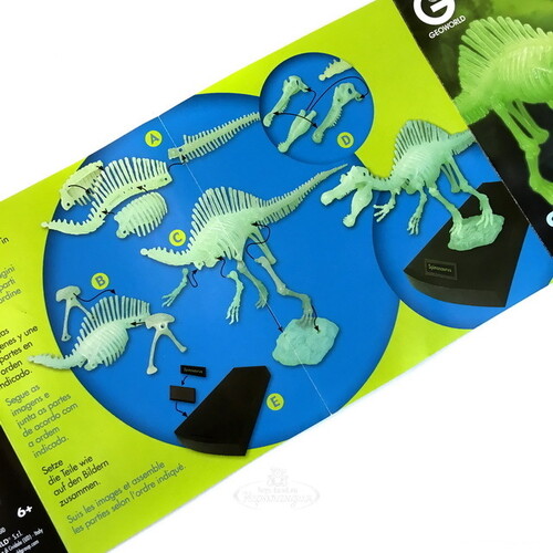 Сборная модель Светящийся скелет Спинозавра, 32*16 см Geoworld