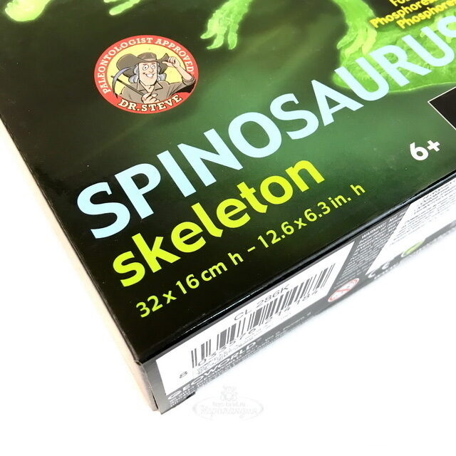 Сборная модель Светящийся скелет Спинозавра, 32*16 см Geoworld