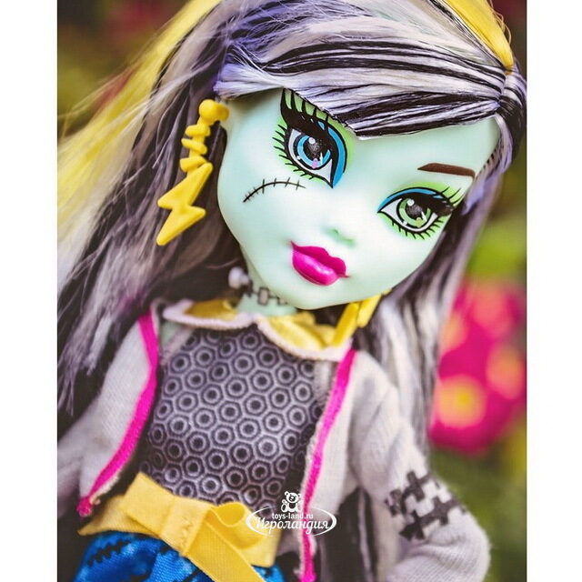 Набор кукол Джексон Джекил и Фрэнки Штейн На пикнике 26 см (Monster High) Mattel