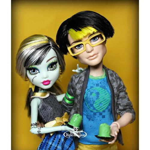 Набор кукол Джексон Джекил и Фрэнки Штейн На пикнике 26 см (Monster High) Mattel