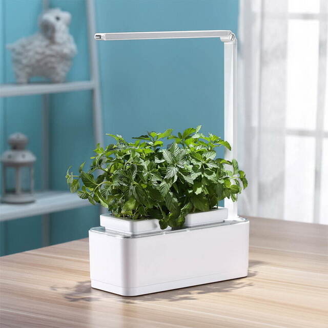Умный Смарт-сад iGarden LED с подсветкой 39*29 см Назад к истокам