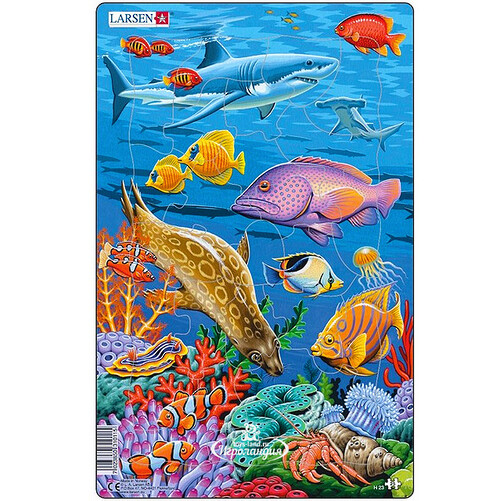 Пазл для детей Коралловый риф - Морской котик, 25 элементов, 28*18 см LARSEN