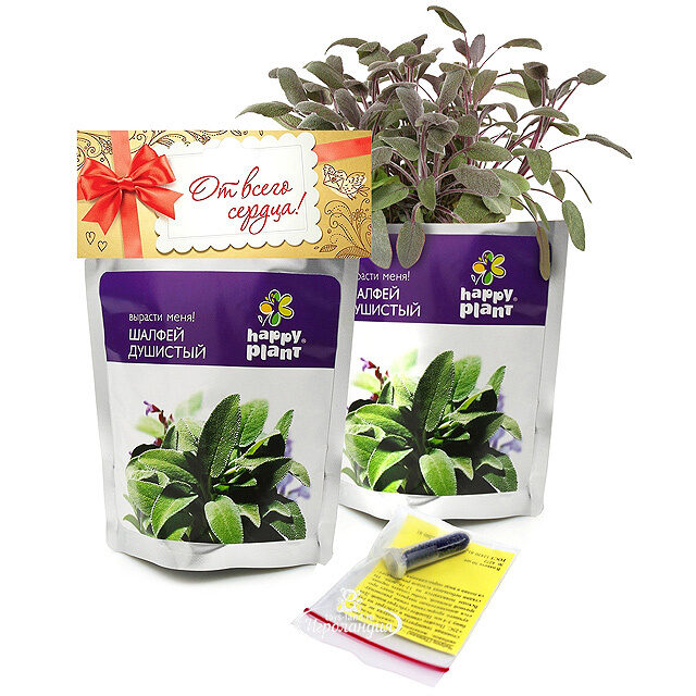 Набор для выращивания Шалфей Happy Plant (Хэппи Плант)