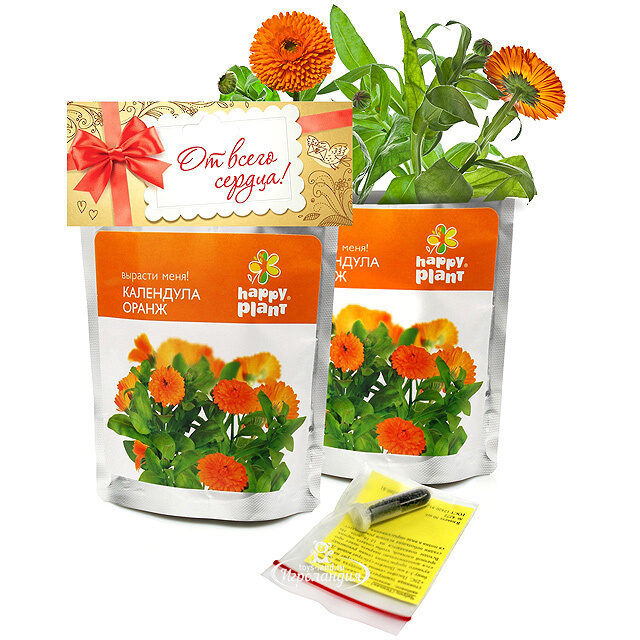 Набор для выращивания Календула Happy Plant (Хэппи Плант)