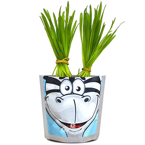 Набор для выращивания Сафари Зебра, детская серия Happy Plant
