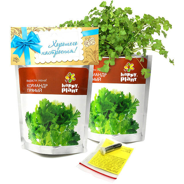 Набор для выращивания Кориандр Happy Plant (Хэппи Плант)
