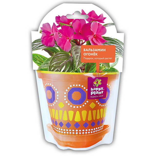 Набор для выращивания Бальзамин огонек Happy Plant