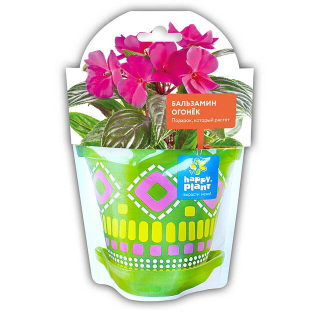 Набор для выращивания Бальзамин огонек Happy Plant