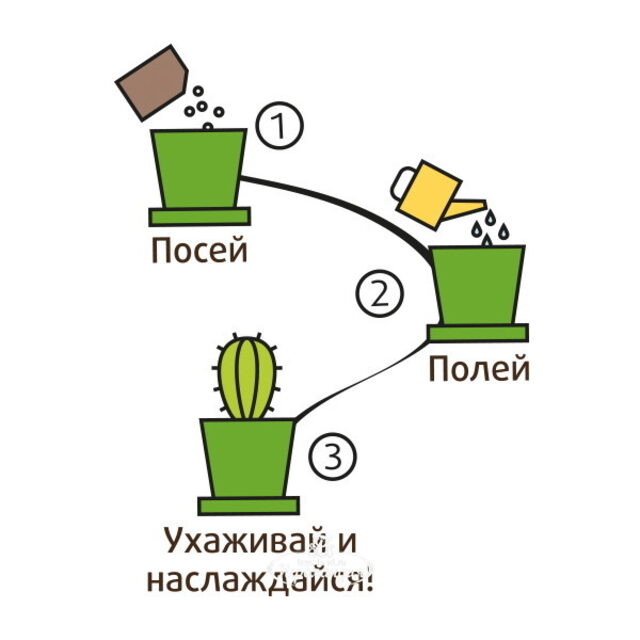 Набор для выращивания Кактус Егоза в горшке Happy Plant (Хэппи Плант)