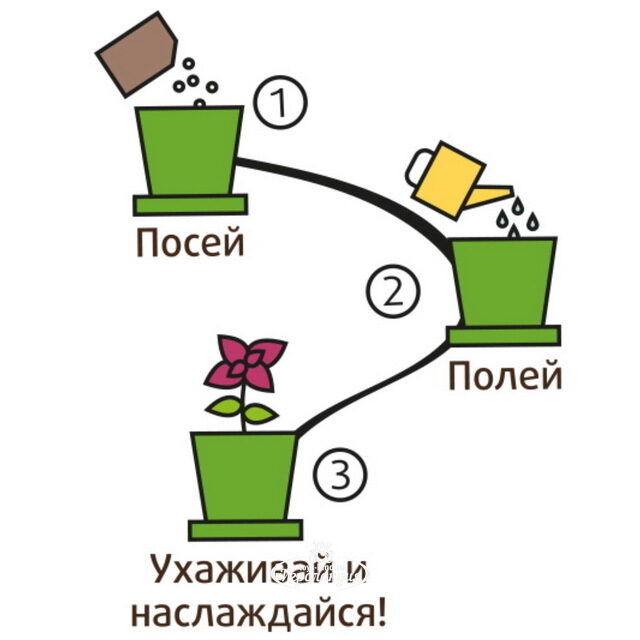 Набор для выращивания Колеус огненный в горшке Happy Plant