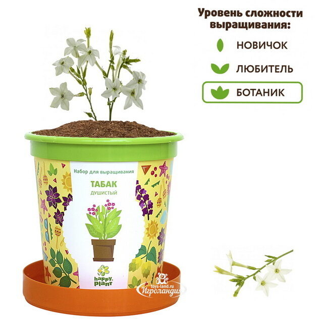 Набор для выращивания Табак душистый в горшке Happy Plant