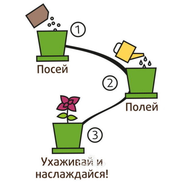 Набор для выращивания Табак душистый в горшке Happy Plant