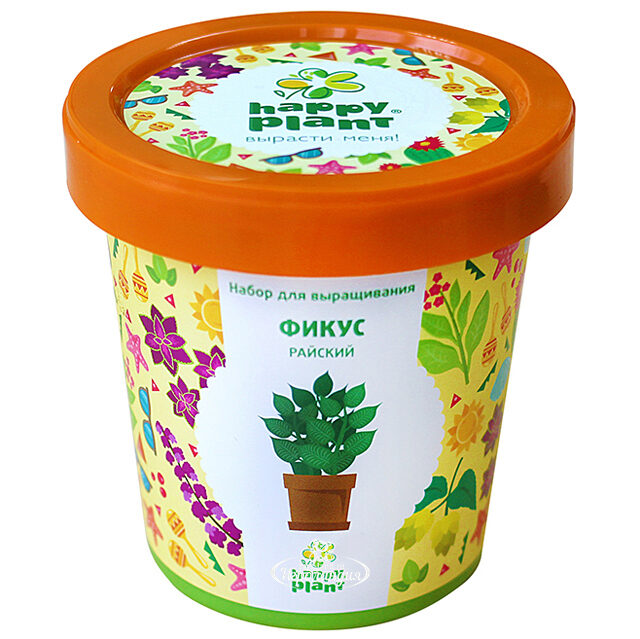 Набор для выращивания Фикус райский в горшке Happy Plant