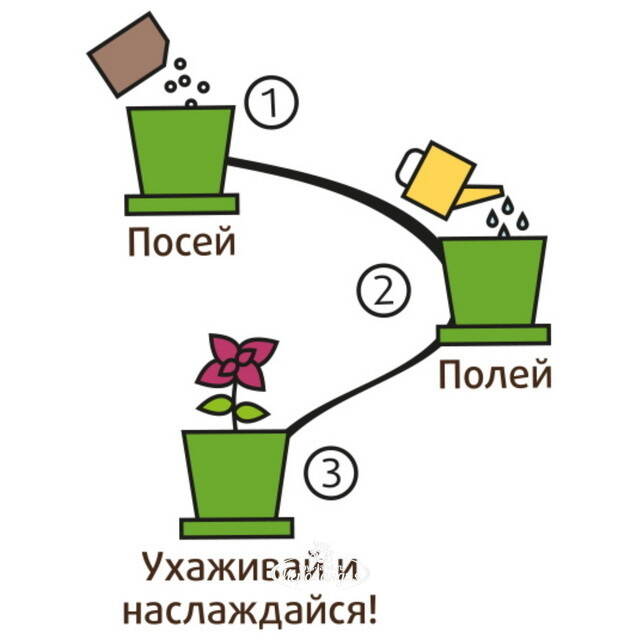 Набор для выращивания Руккола пряная в горшке Happy Plant