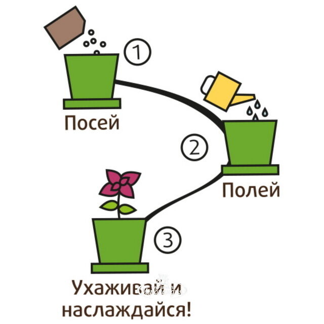 Набор для выращивания Подсолнух миниатюрный в горшке Happy Plant