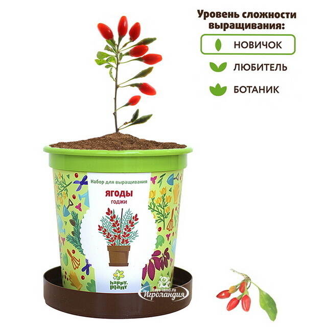 Набор для выращивания Ягоды Годжи в горшке Happy Plant