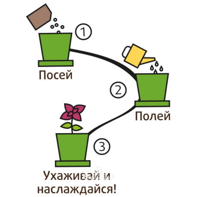 Набор для выращивания Огурец Корнишон в горшке Happy Plant