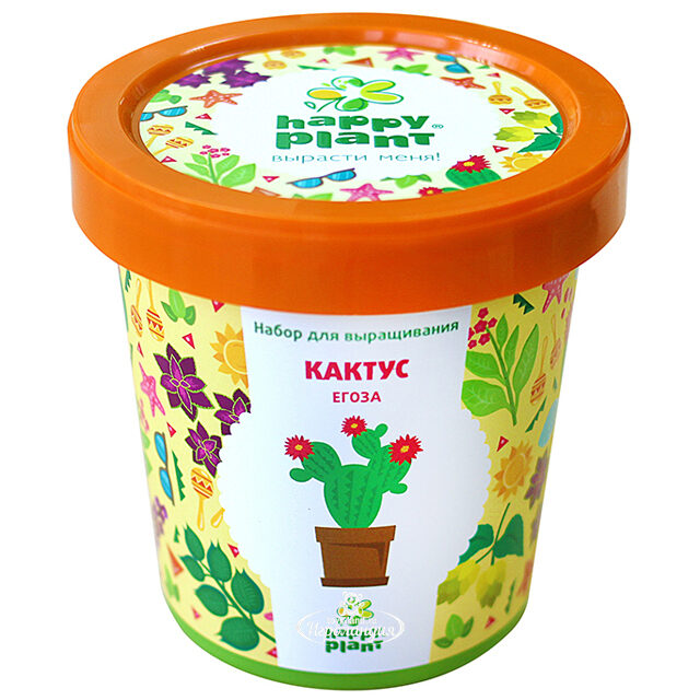 Набор для выращивания Кактус Егоза в горшке Happy Plant (Хэппи Плант)