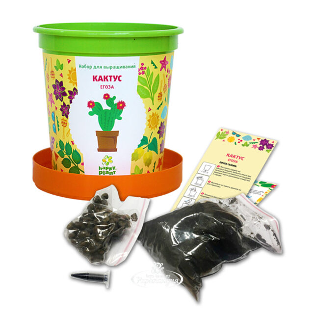 Набор для выращивания Кактус Егоза в горшке Happy Plant (Хэппи Плант)
