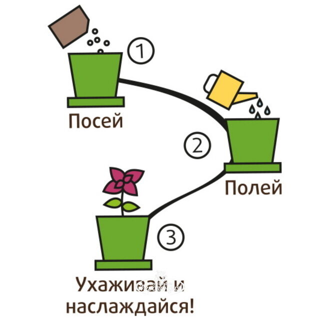 Набор для выращивания Ипомея красавица в горшке Happy Plant