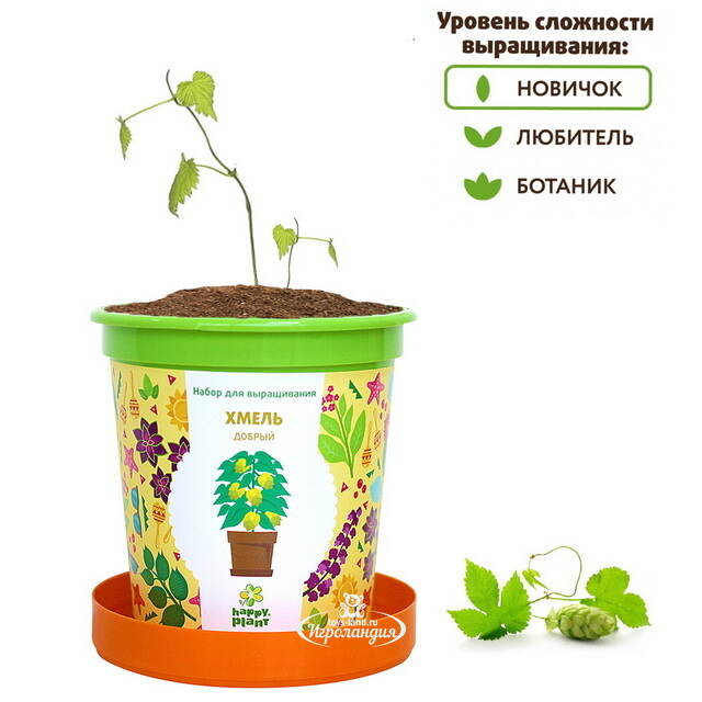 Набор для выращивания Хмель добрый в горшке Happy Plant