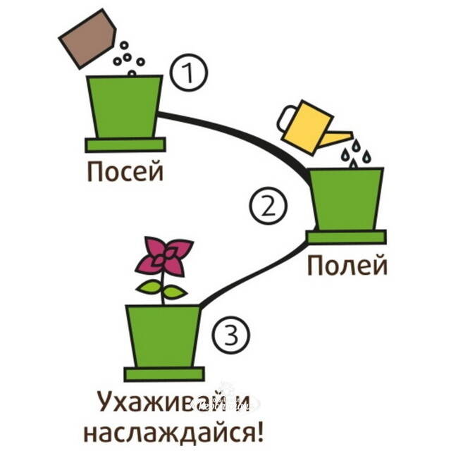 Набор для выращивания Календула Лекарственная в горшке Happy Plant