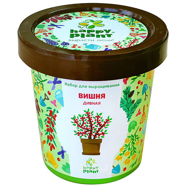 Набор для выращивания Вишня дивная в горшке Happy Plant (Хэппи Плант)