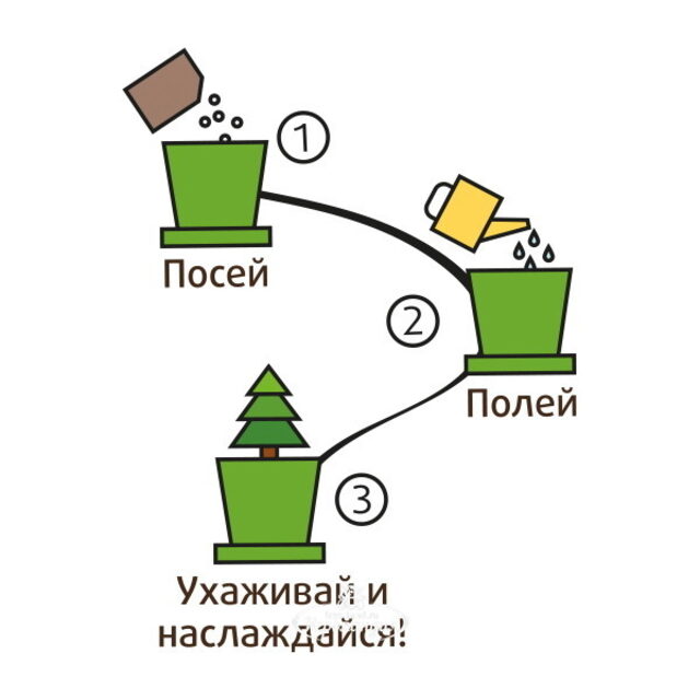 Набор для выращивания Вишня дивная в горшке Happy Plant (Хэппи Плант)