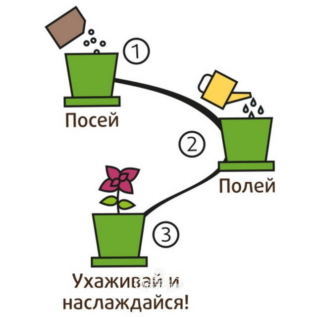 Набор для выращивания Кресс-Салат Полезный в горшке Happy Plant