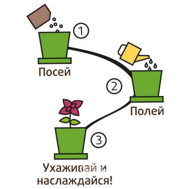 Набор для выращивания Тыква Медовая в горшке Happy Plant