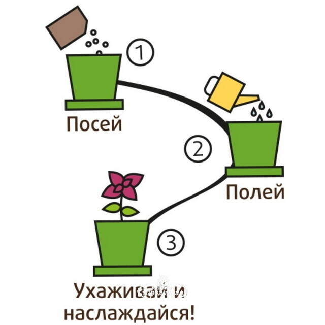 Набор для выращивания Горох Сахарный в горшке Happy Plant