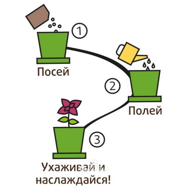 Набор для выращивания Перец Сладкий в горшке Happy Plant