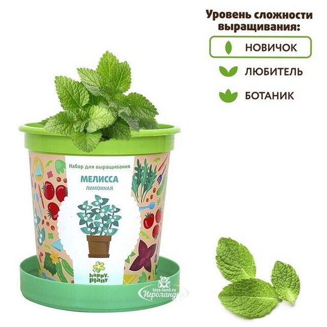 Набор для выращивания Мелисса Лимонная в горшке Happy Plant