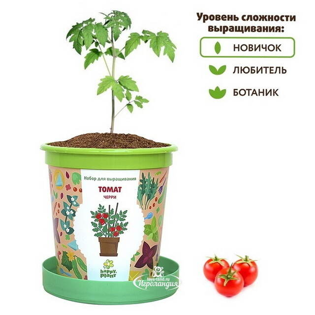 Набор для выращивания Томат Черри в горшке Happy Plant